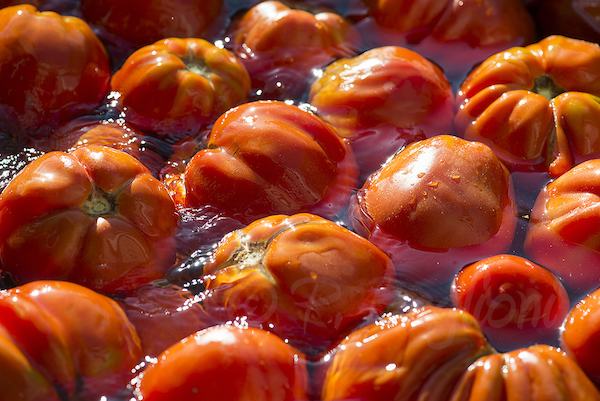 Pescara. Esplosione durante la preparazione delle 'bottiglie' di pomodoro: tre donne gravemente ustionate