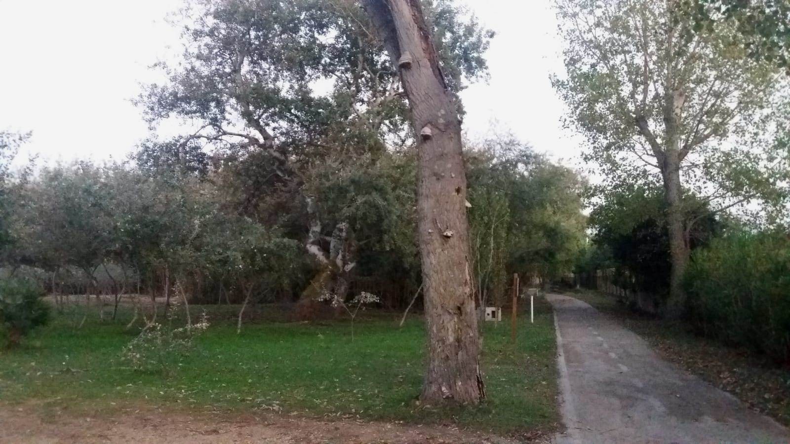 Vasto, al via il percorso pedonale accanto alla ciclabile