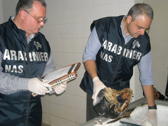 Abruzzo. Ristoranti abusivi e privi di igiene: multe e chiusure