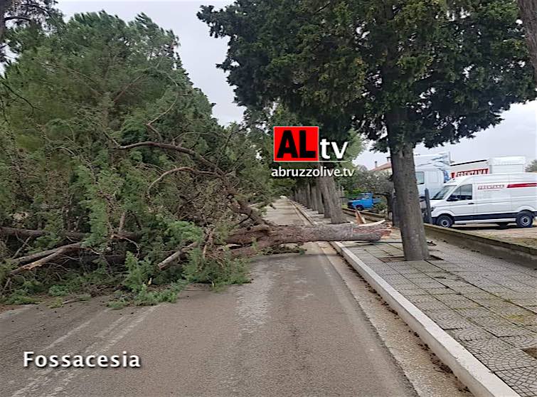 Fossacesia. Vento forte. Chiuso viale San Giovanni in Venere