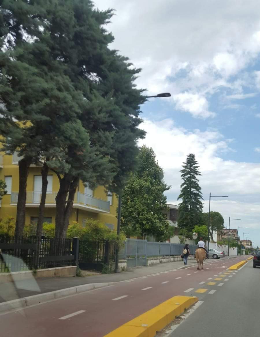 Lanciano. Ma si può andare a cavallo sulla pista ciclabile?