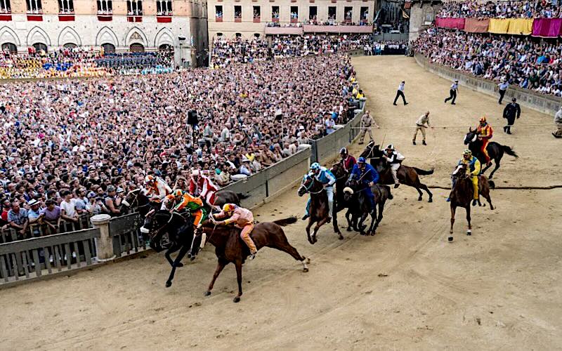 Lanciano. Palio di Siena: presidente Animalisti Italiani sotto processo per diffamazione