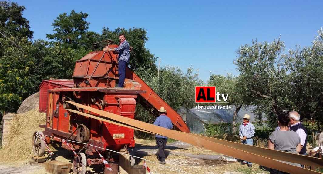 Mozzagrogna. A Villa Romagnoli  c'è 'TrebbiAmo' - VIDEO