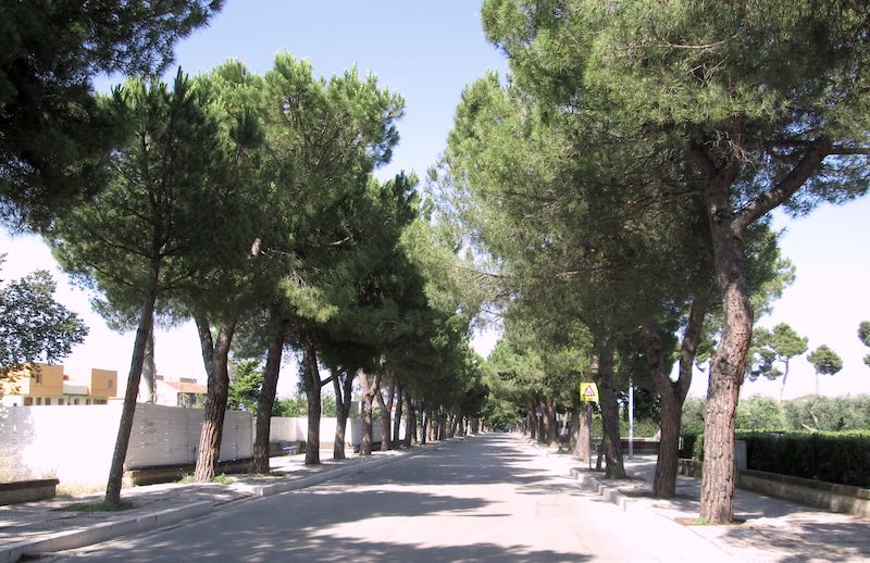 Fossacesia. Al via i lavori di sistemazione di viale San Giovanni in Venere