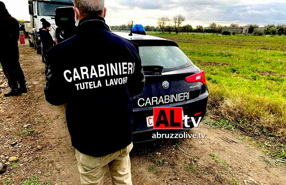 Caporalato. A Teramo figlio arrestato e madre nei guai: braccianti senza acqua né servizi igienici