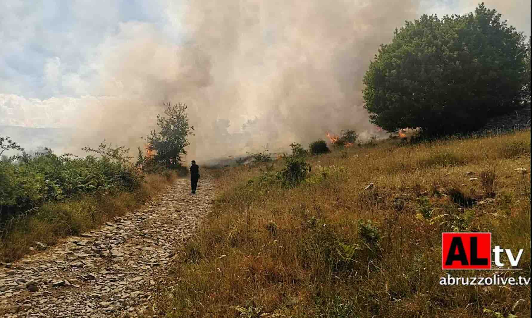 Innesca incendio con fuochi d'artificio e manda in fumo ettari di pineta  a San Benedetto in Perillis