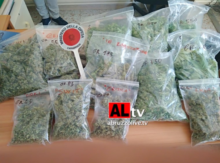 Lanciano. In cantina coltivava diversi tipi di marijuana: arrestato dipendente Sevel